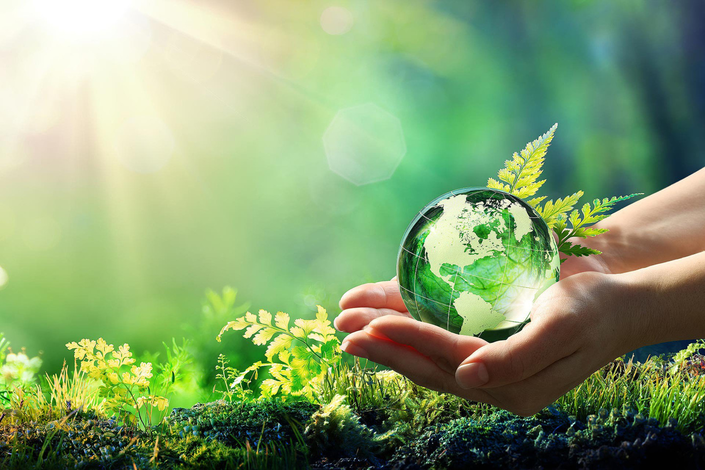 L’innovazione sostenibile guida la crescita di Industrie Chimiche Forestali (ICF)