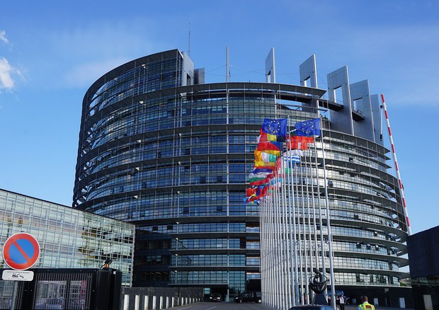 Leather and Deforestation: being discussed at the European Parliament