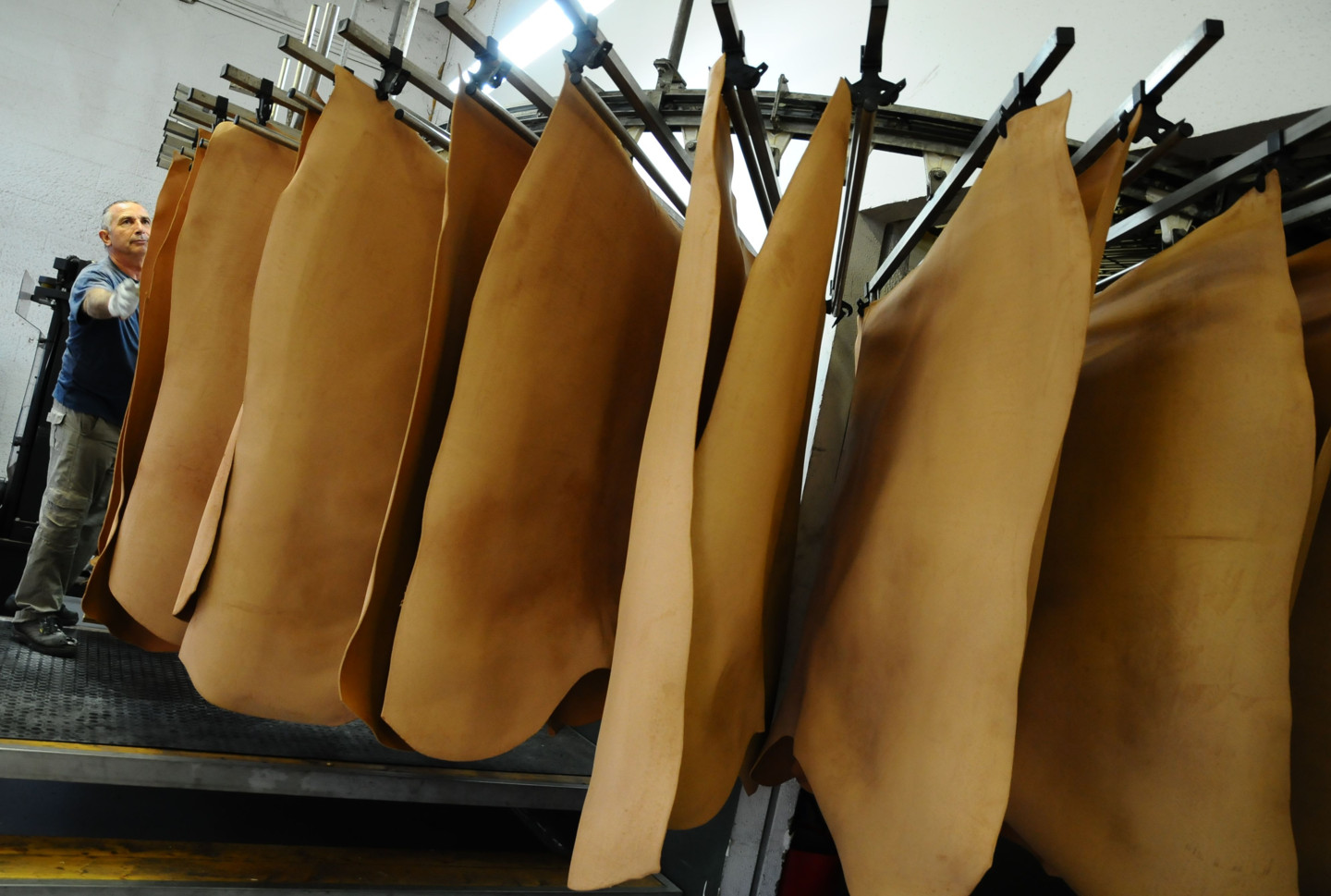 European Parliament explains why leather does not cause deforestation