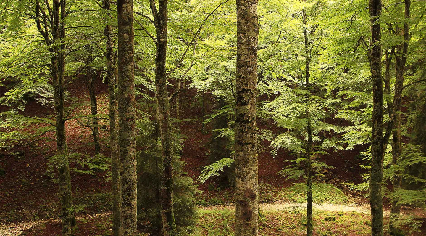 Massimo Rancilio di Industrie Chimiche Forestali S.p.A. vince il “CFO AWARD 2025”