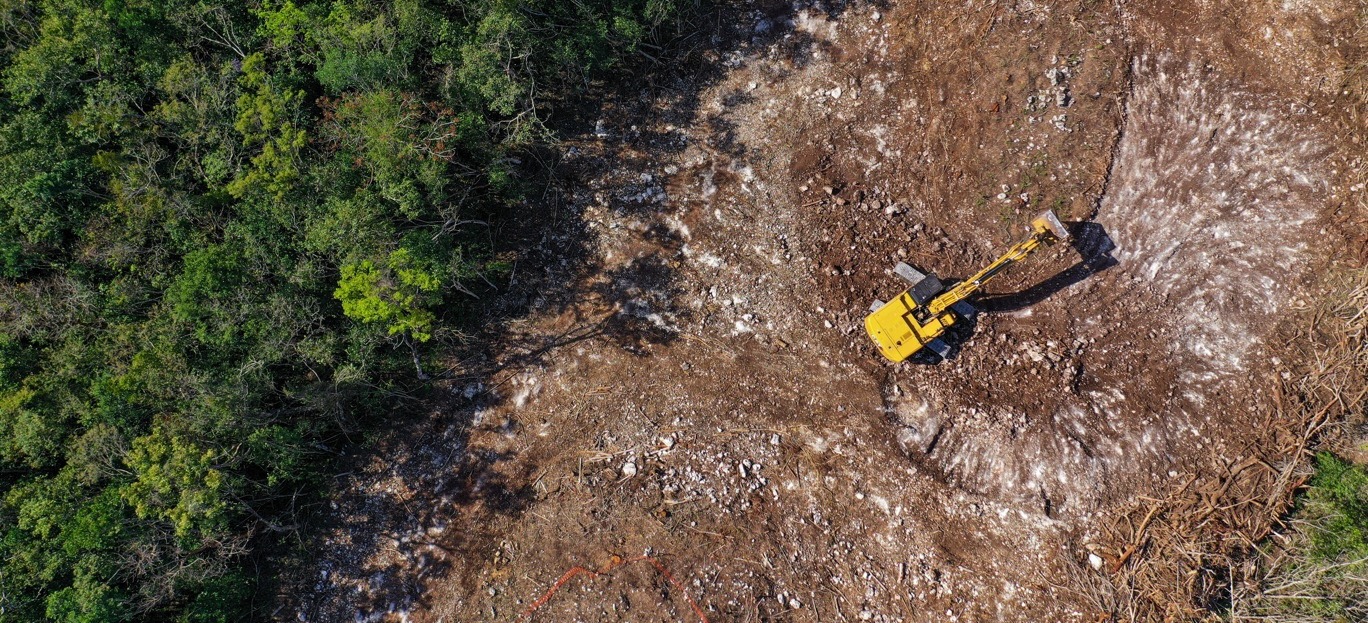 Antideforestazione: COTANCE chiede un meccanismo di “stop-the-clock”