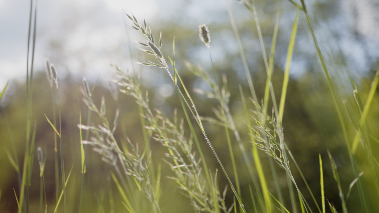 OEKO-TEX® strengthens its commitment to biodiversity