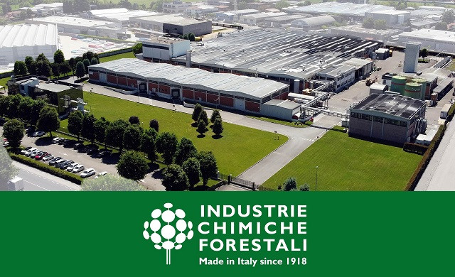 ICF: 2025 and a record dividend