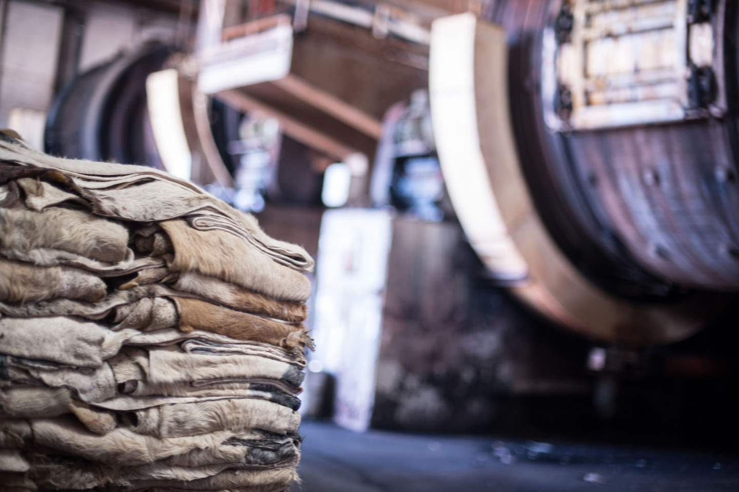 Leather excluded from the scope of the EUDR